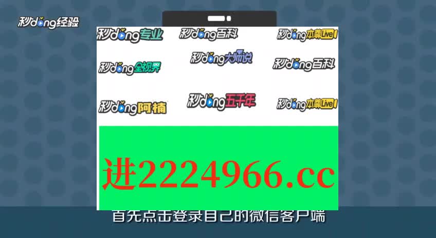 王中王一肖一特一中一MBA,适用性计划实施_豪华款95.347